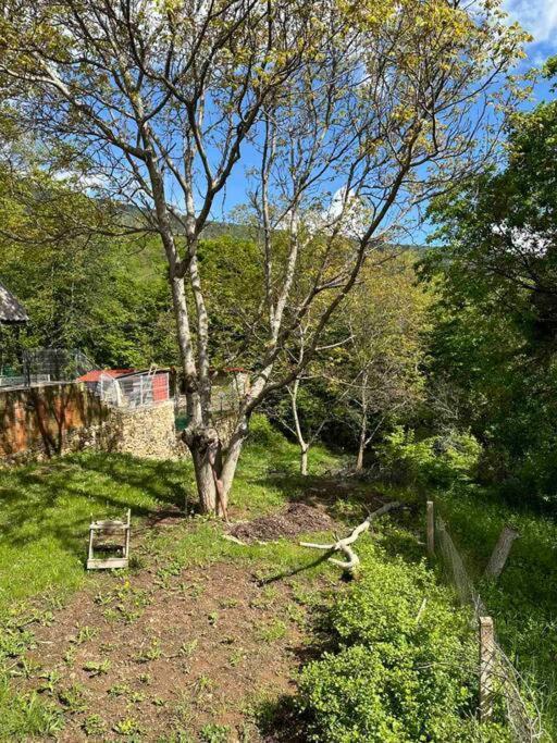 Cosy Mountain Villa In Nizepole Μπίτολα Εξωτερικό φωτογραφία