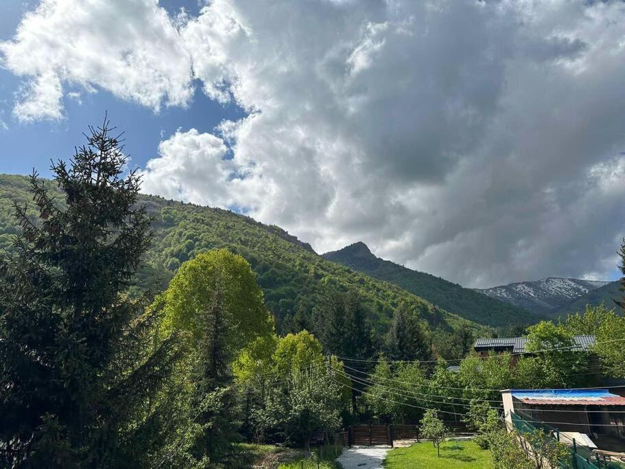 Cosy Mountain Villa In Nizepole Μπίτολα Εξωτερικό φωτογραφία